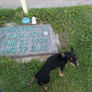 Meet your Posher, Roxanne